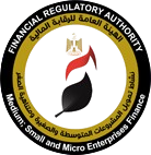 General Authority for financial control